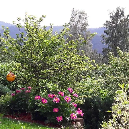 Appartement-harlachberg-blick-2 *